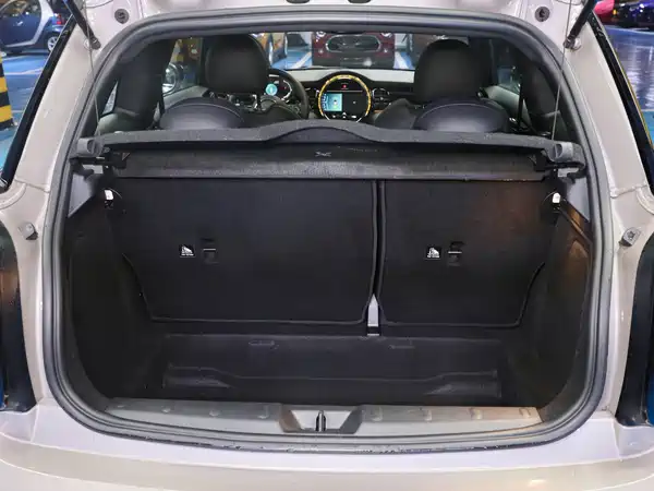 MINI MINI 2024