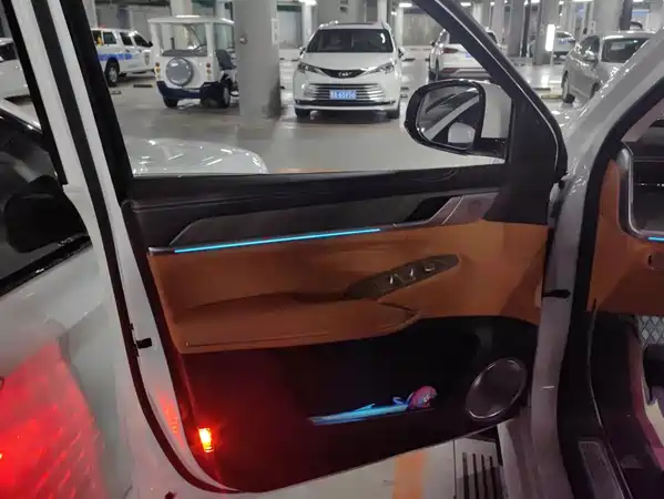 Tank 500 New Energy 2025