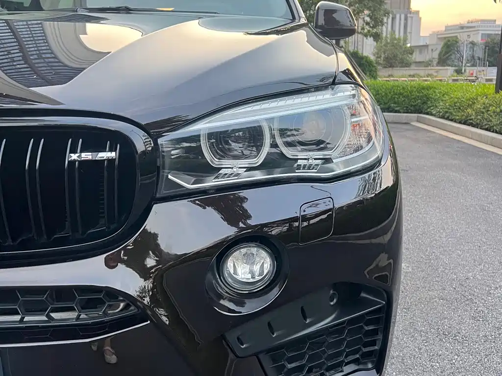 BMW X5 2018 — фото 8