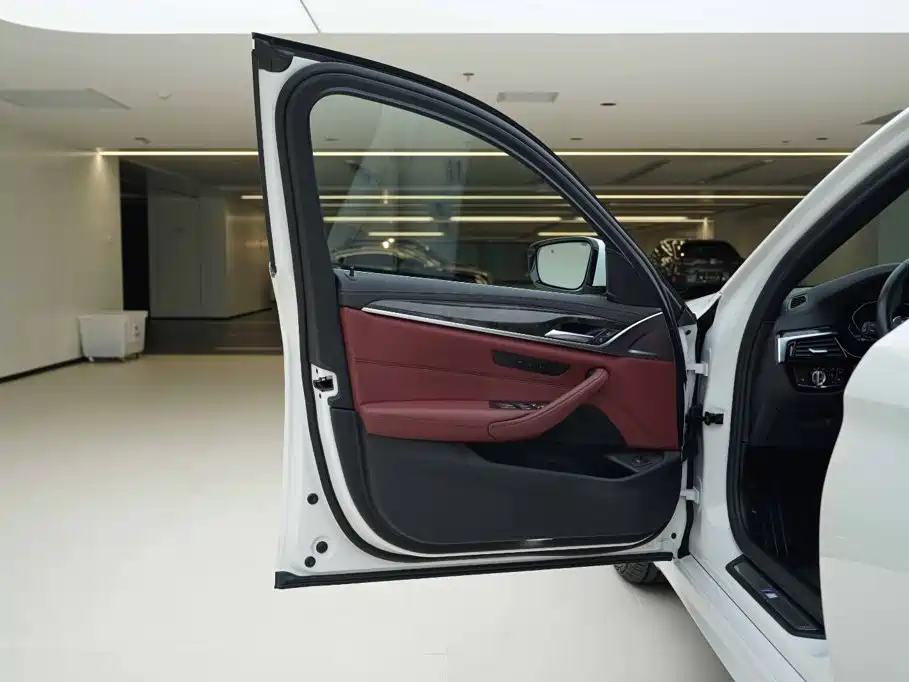 BMW 5 Series 2020 — фото 17