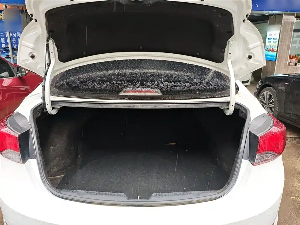 Hyundai Elantra Langdong 2017 — фото 18