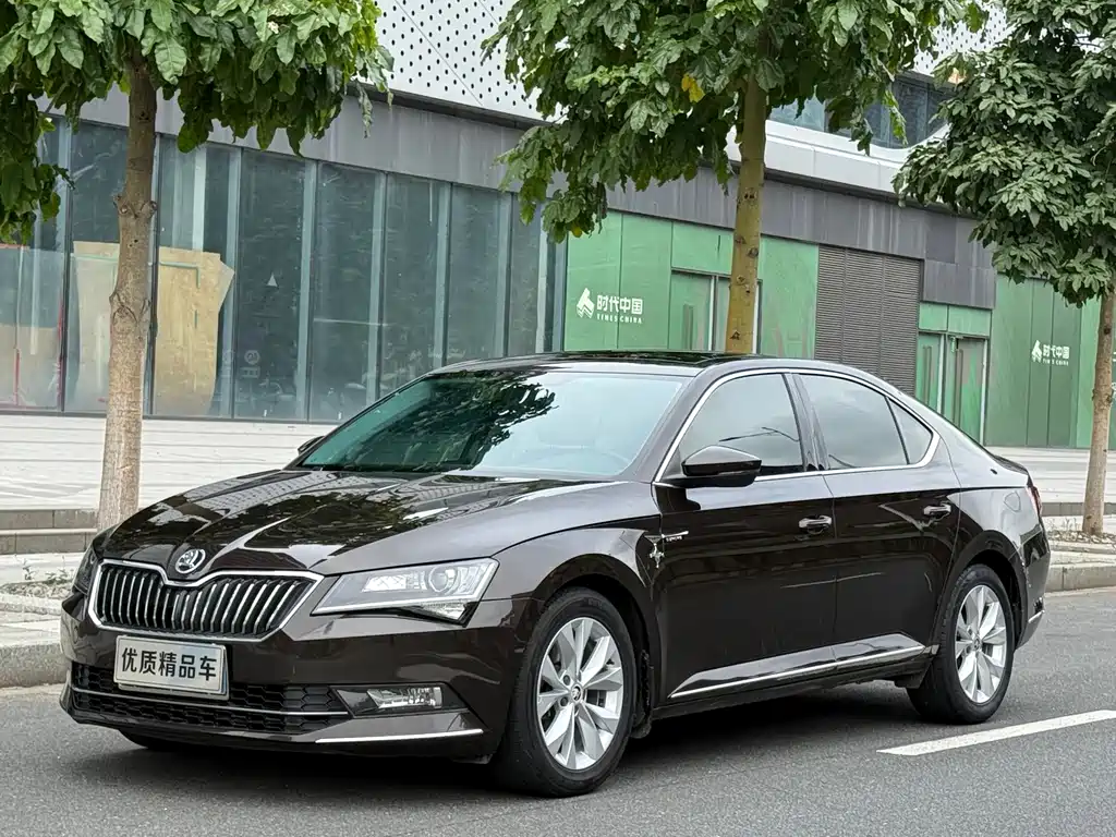 Skoda Speedy 2017