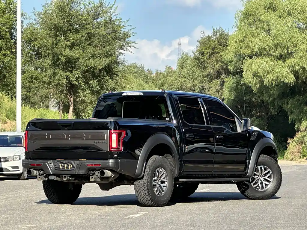 Ford F-150 Raptor 2018 — фото 6