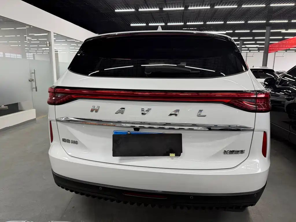 Haval H6 2024 — фото 19