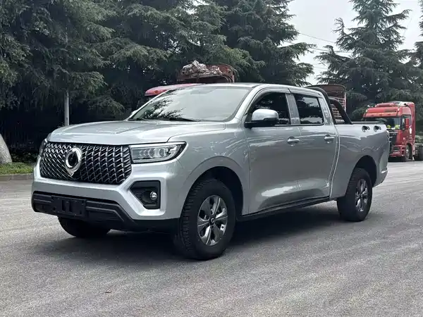 Great Wall Poer 2023