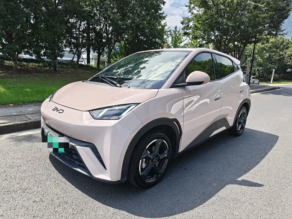 BYD Seagull 2024