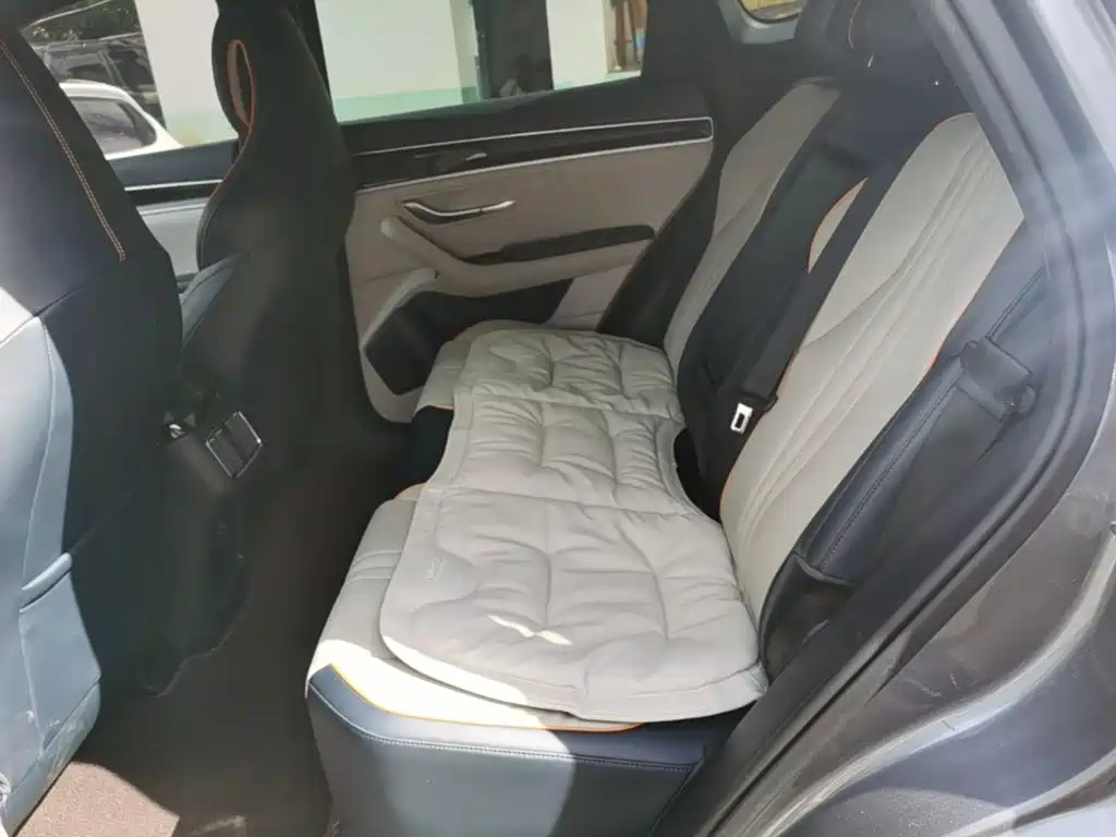 BYD PLUS New Energy 2023 — фото 17