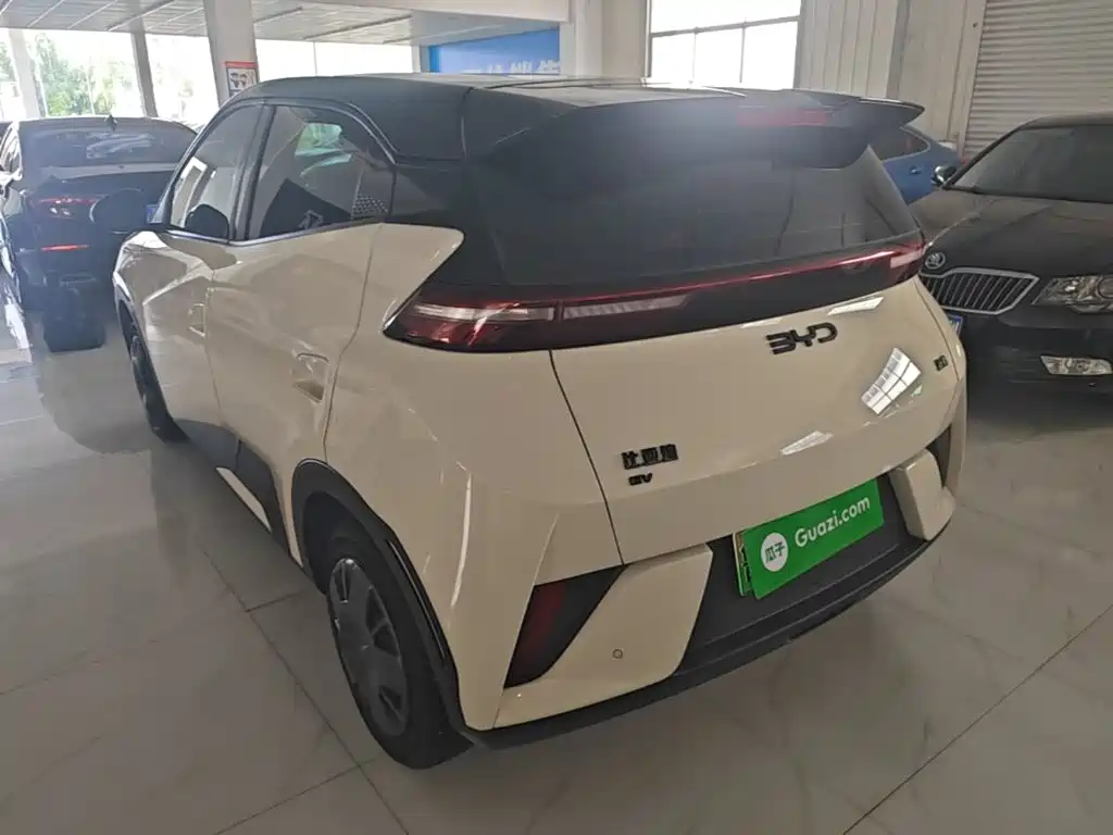 BYD Seagull 2025