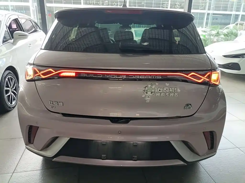 BYD Dolphin 2024