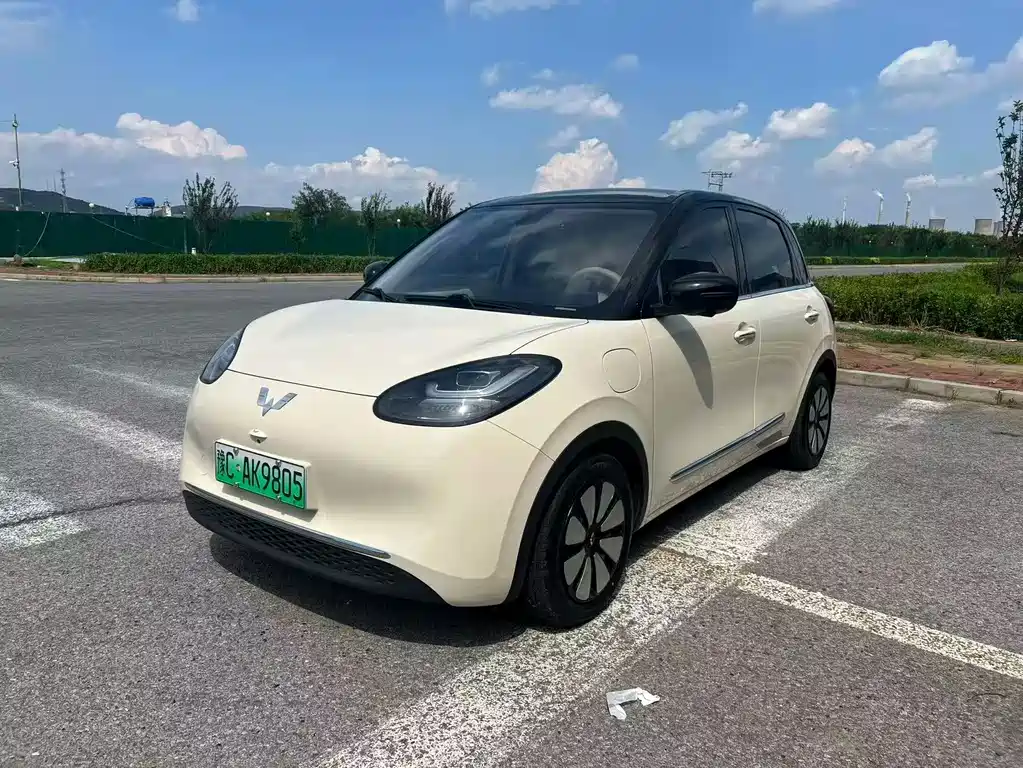 Wuling Bingo 2025