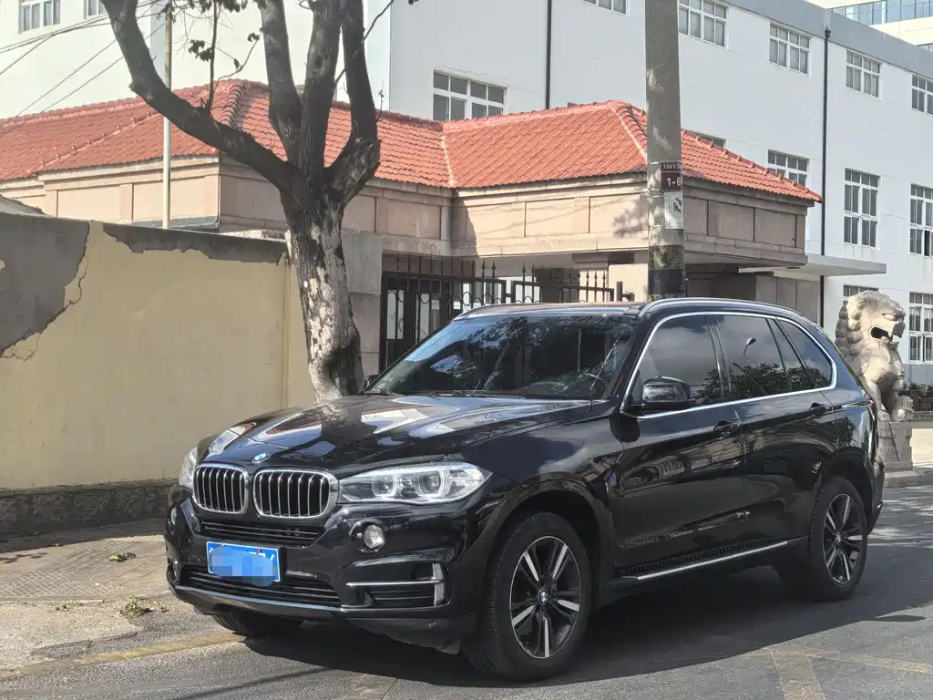 BMW X5 2016 — фото 1