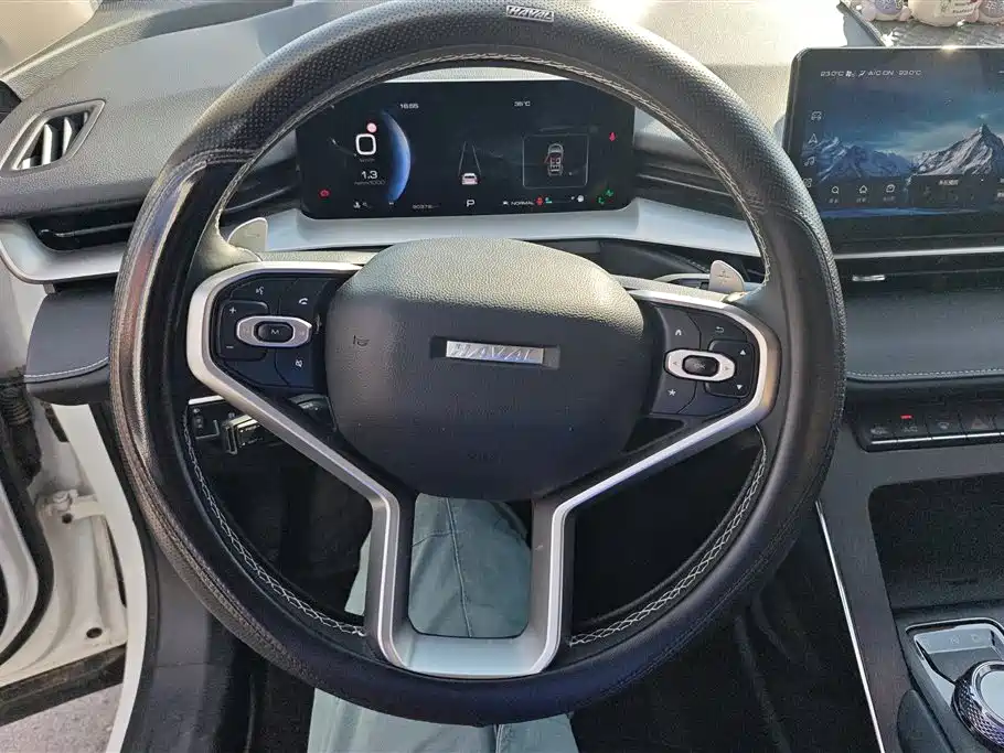 Haval H6 2023 — фото 15