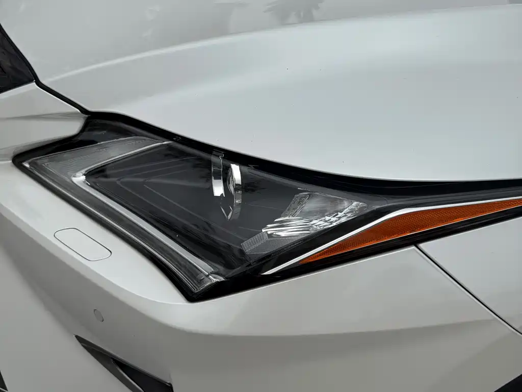 Lexus RX 2019 — фото 13