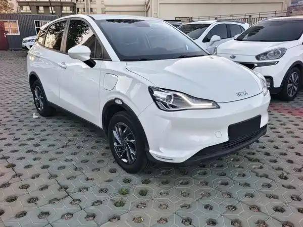 Neta V 2021