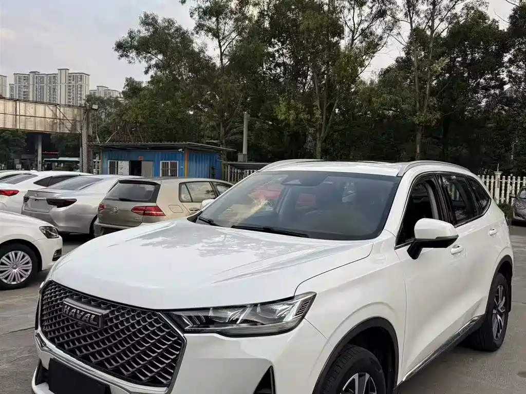 Haval H6 2021 — фото 2