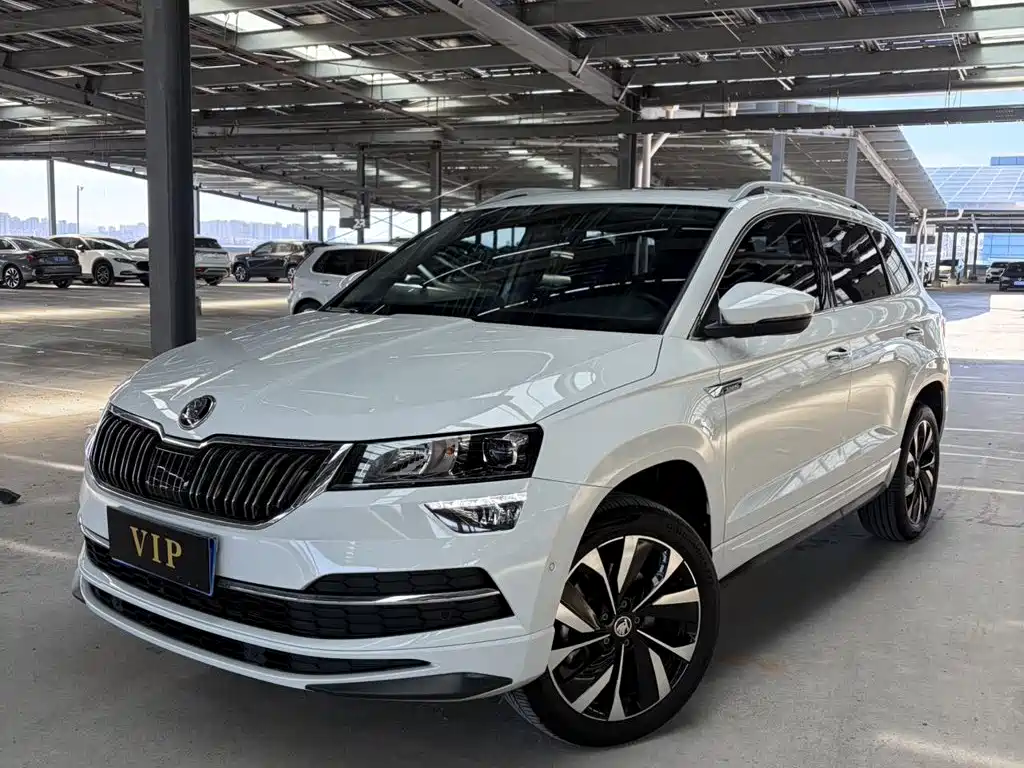 Skoda Karoq 2024 — фото 1