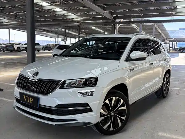 Skoda Karoq 2024