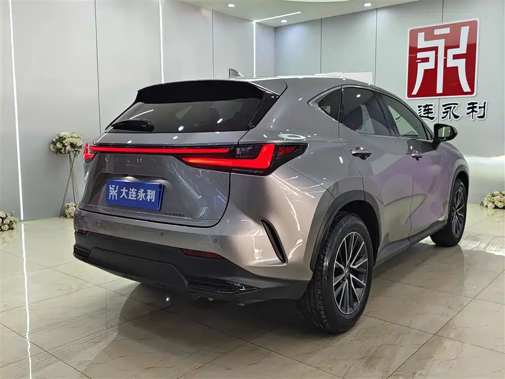Lexus NX 2023 — фото 16