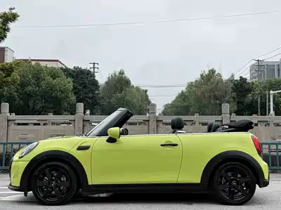 MINI MINI 2022