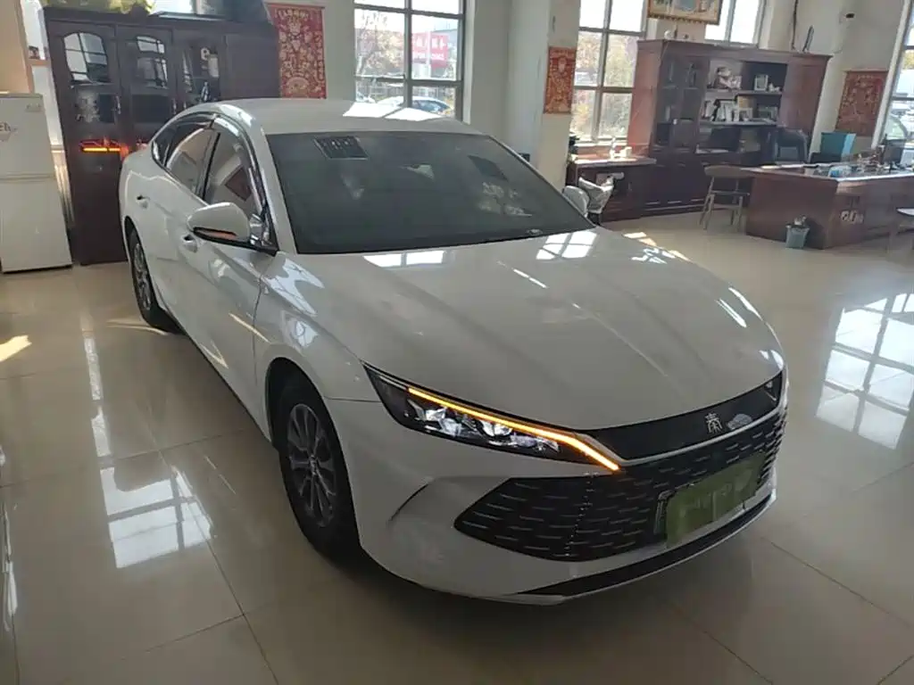 BYD Qin L 2024 — фото 4