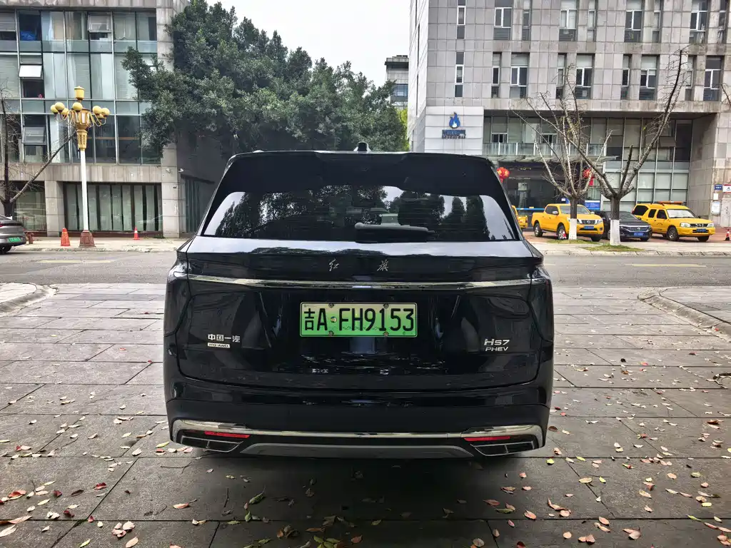 Hongqi HS7 PHEV 2024 — фото 7