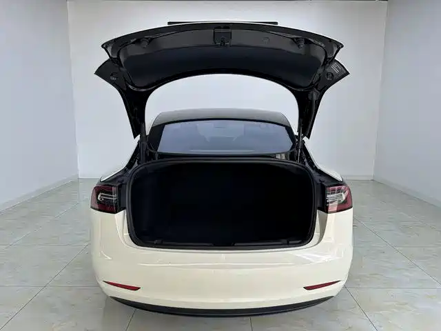 Tesla Model 3 2023 — фото 16