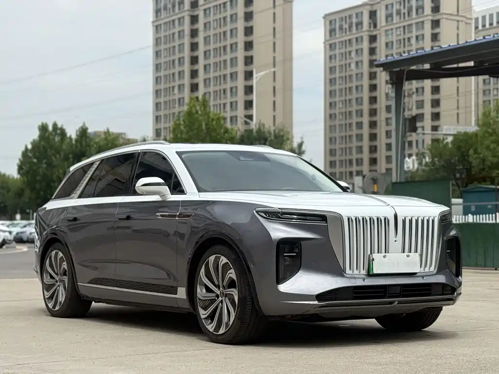 Hongqi E-HS9 2023 — фото 10