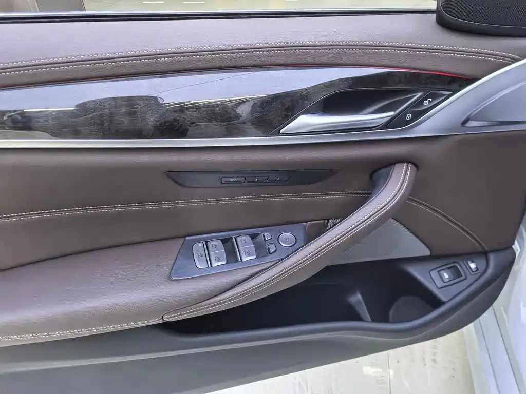BMW 5 Series New Energy 2021