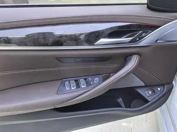 BMW 5 Series New Energy 2021
