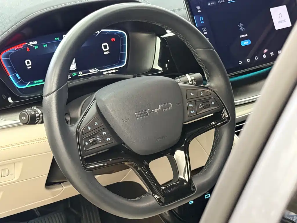 BYD PLUS New Energy 2024 — фото 10