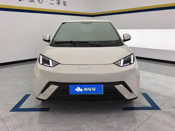 BYD Seagull 2024