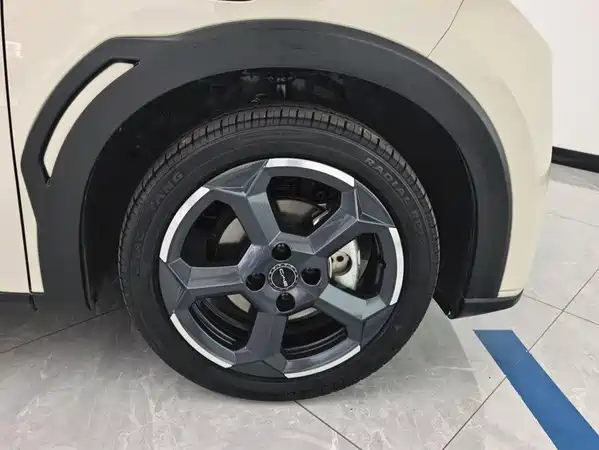 BYD Seagull 2024