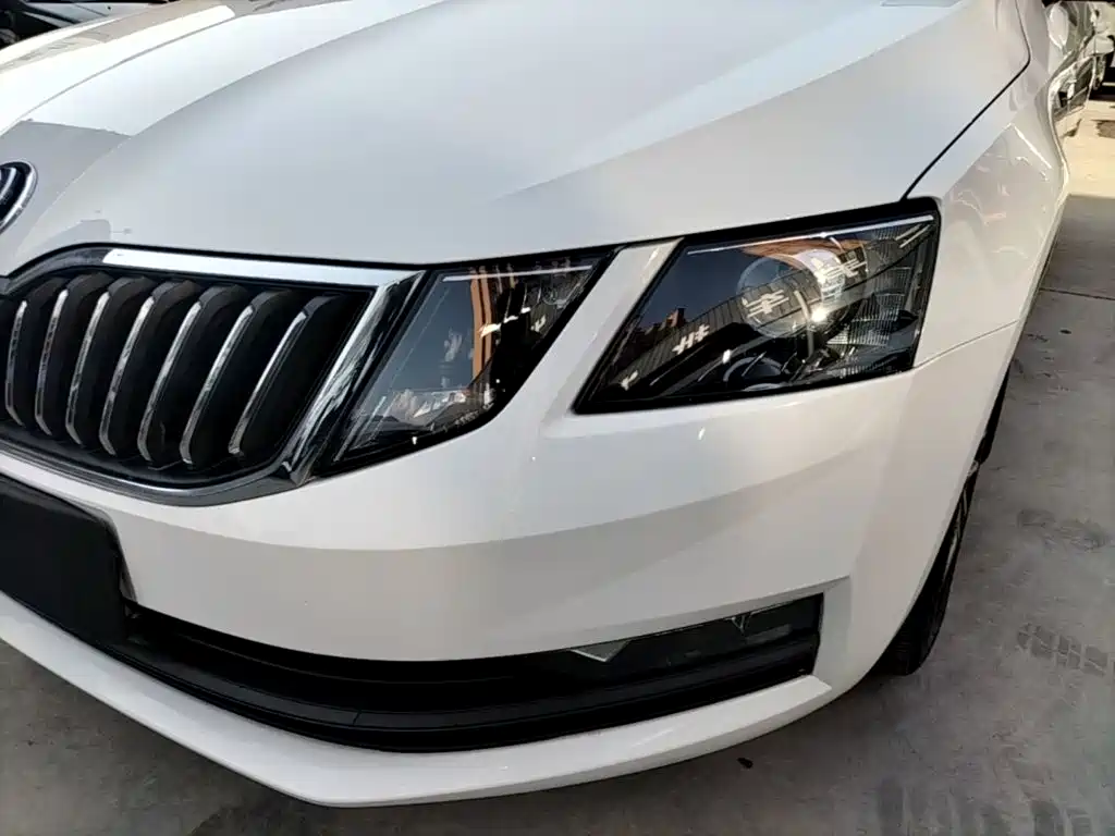 Skoda Octavia 2019 — фото 24
