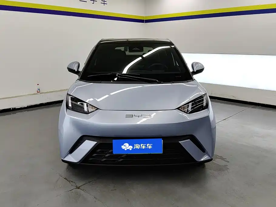 BYD Seagull 2024