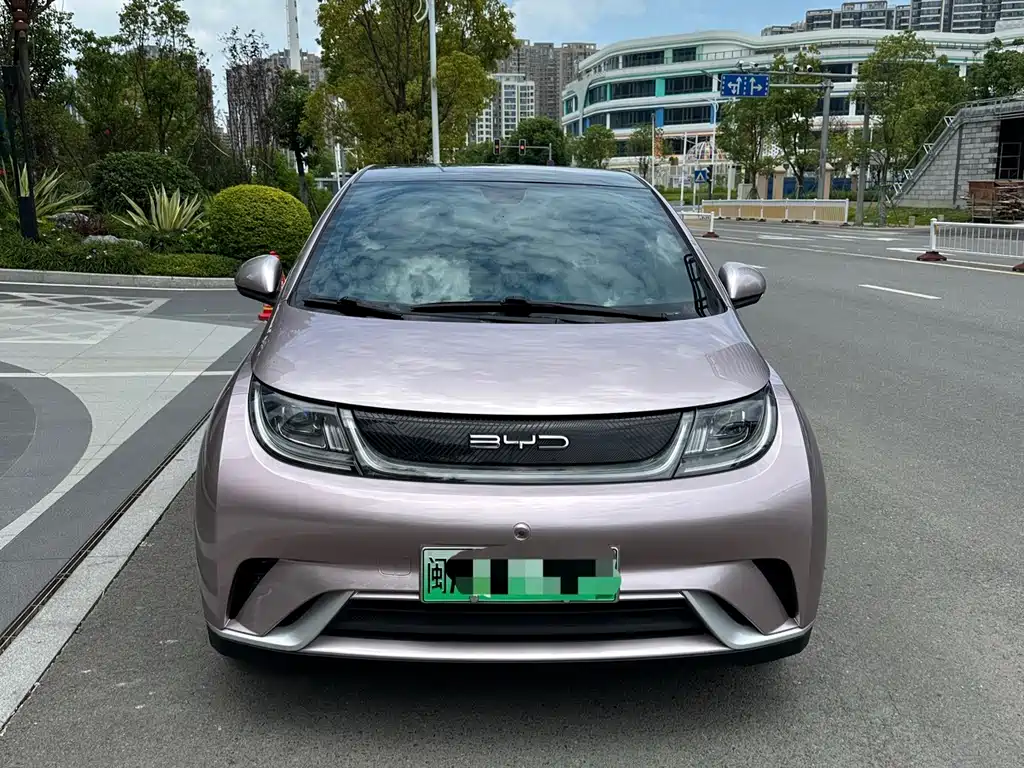 BYD Dolphin 2022