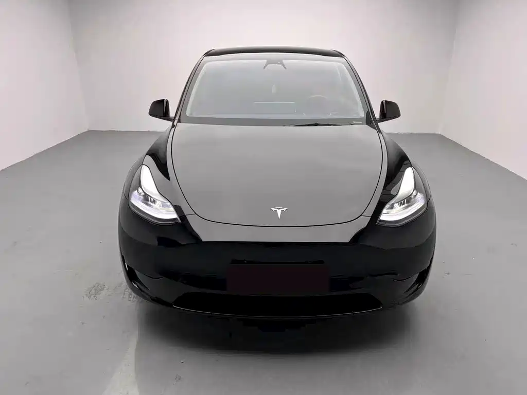 Tesla Model Y 2023 — фото 2