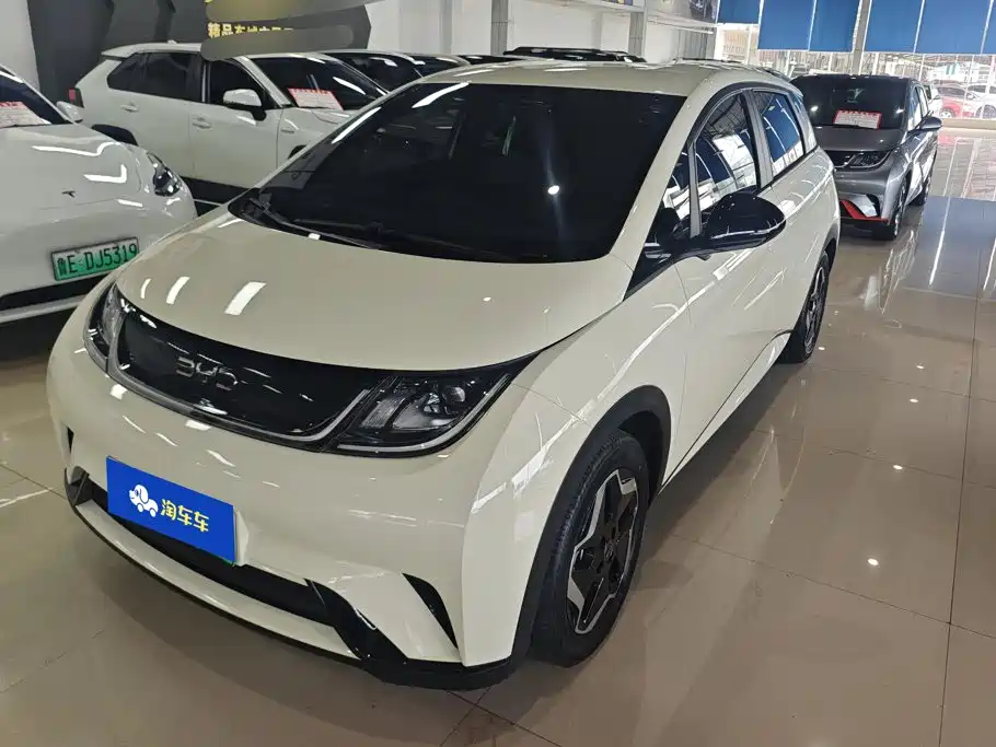 BYD Dolphin 2024