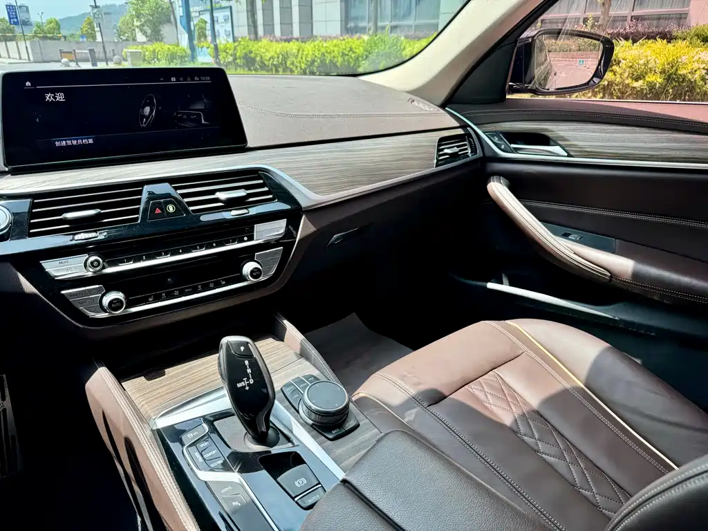 BMW 5 Series New Energy 2020 — фото 7