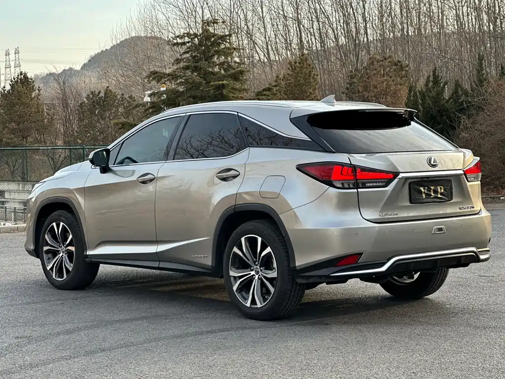 Lexus RX 2020 — фото 7