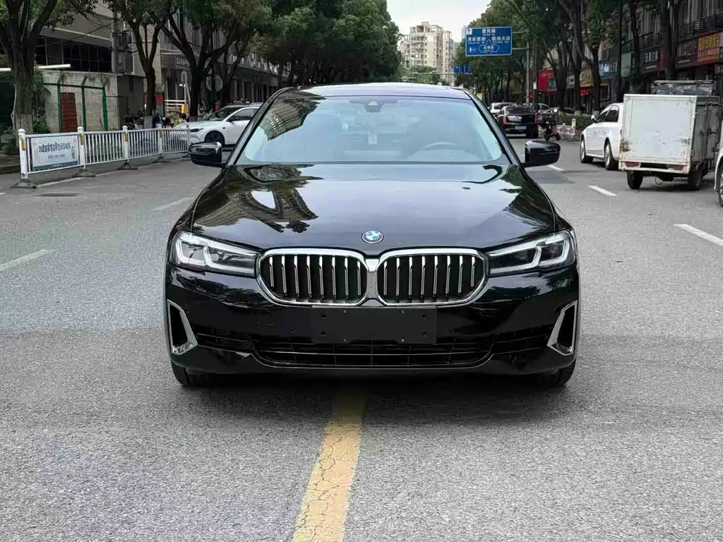 BMW 5 Series New Energy 2021