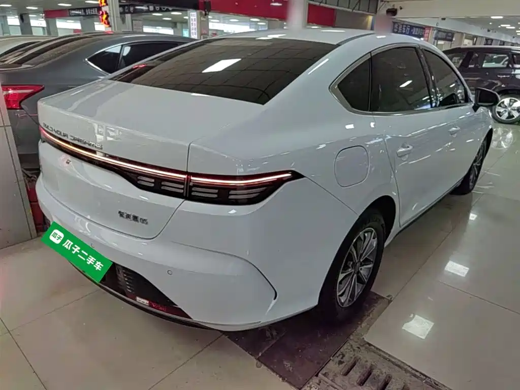 BYD Destroyer 05 2024 — фото 7
