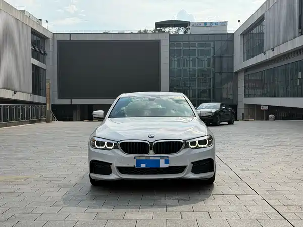 BMW 5 Series 2019