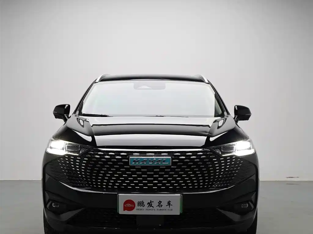 Haval H6 New Energy 2023 — фото 2