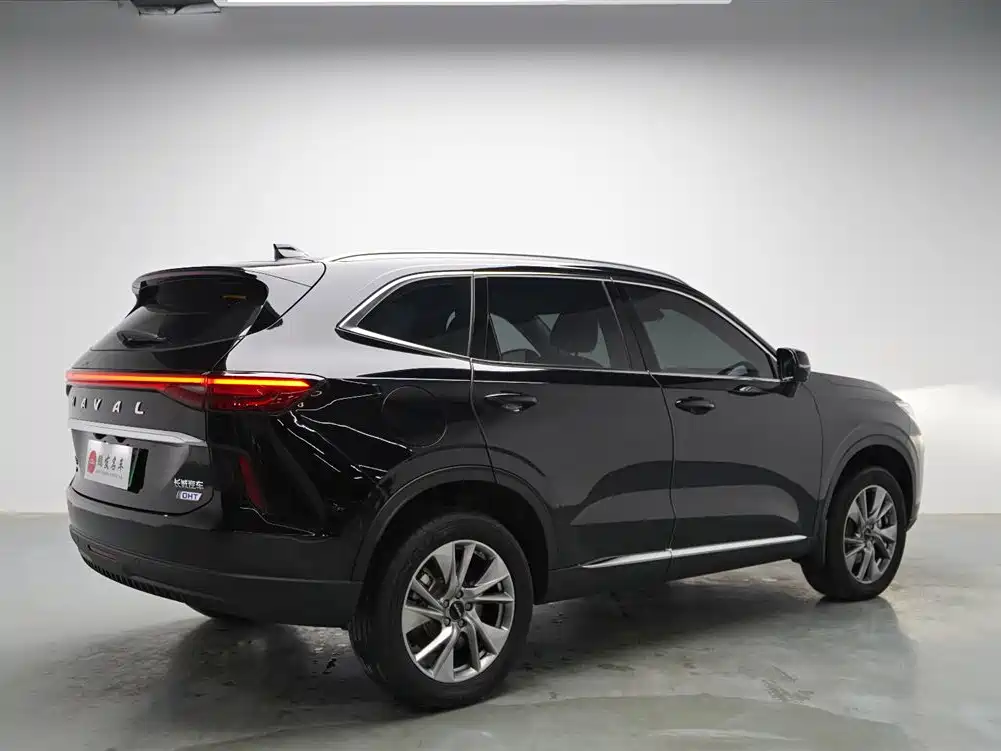 Haval H6 New Energy 2023 — фото 15