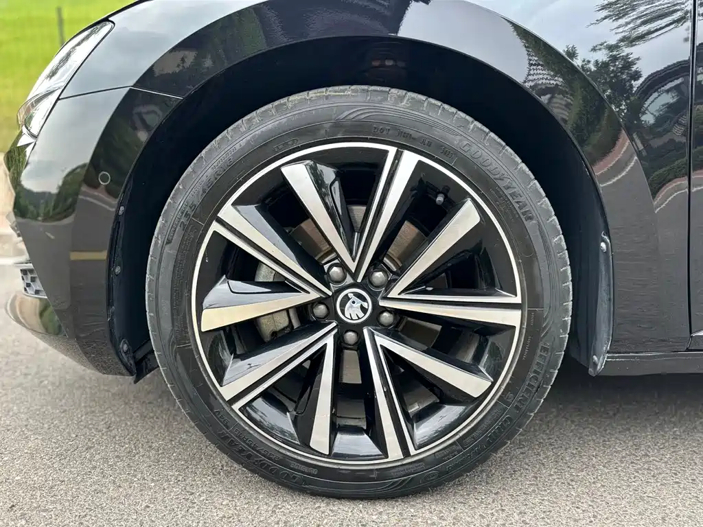 Skoda Speedy 2023 — фото 14