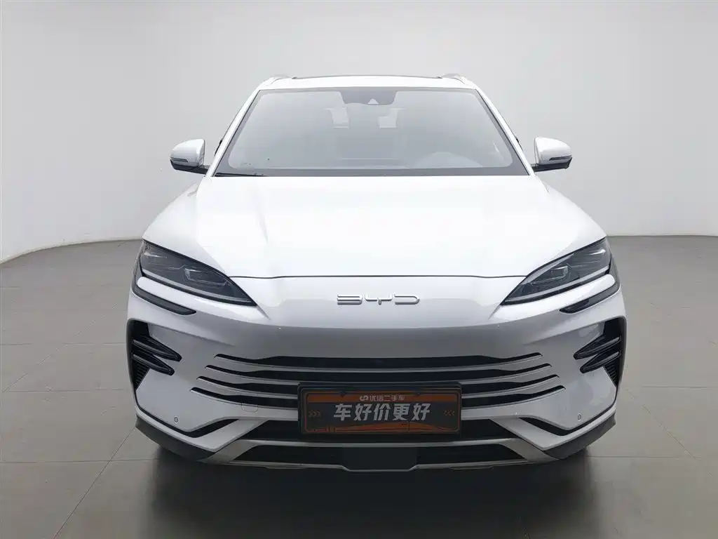 BYD PLUS New Energy 2024 — фото 3