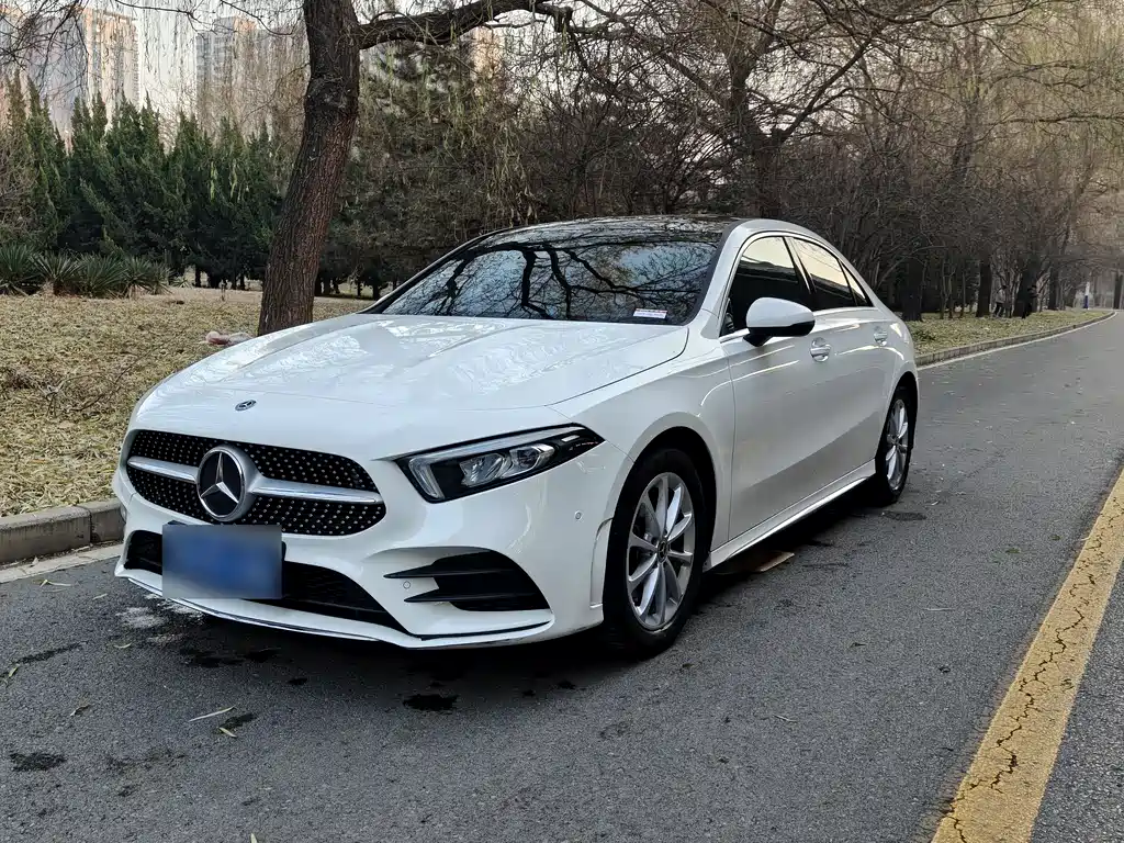 Mercedes-Benz A-Class 2020 — фото 1