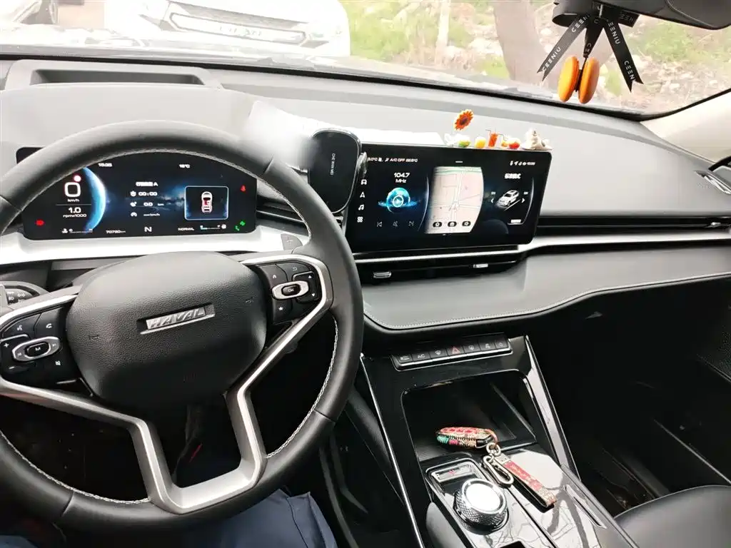 Haval H6 2022 — фото 10