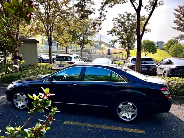 Mercedes-Benz S-Class 2008
