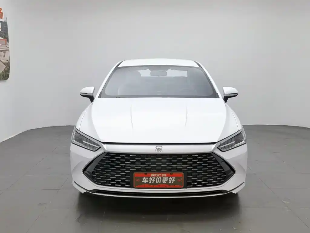 BYD Qin PLUS 2024